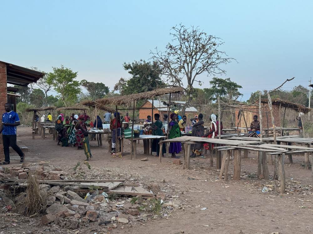Stalls at the village produce market